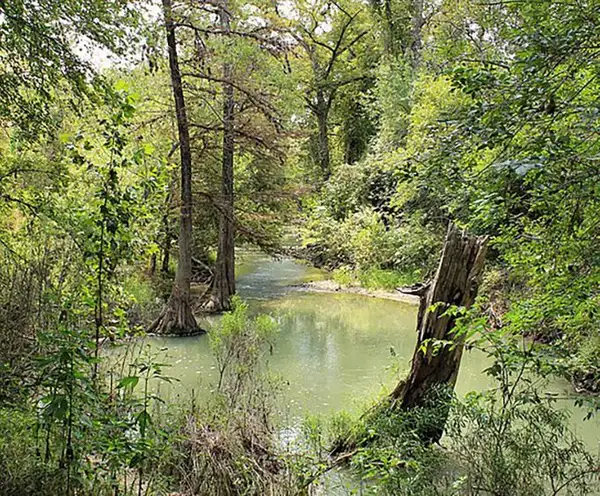 Medina River Park