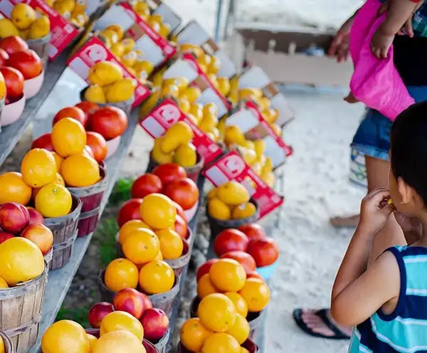 St Andrew's Waterfront Farmers Market 