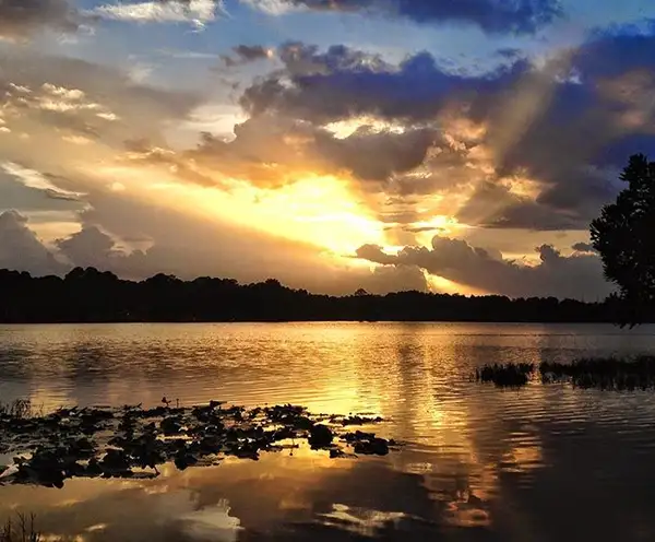 Bill Frederick Park at Turkey Lake