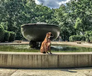 Theodore Roosevelt Island Park