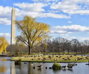 Constitution Gardens