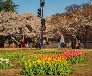 German-American Friendship Garden