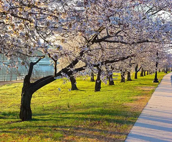 East Potomac Park