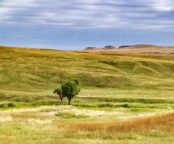 Buffalo Gap National Grassland