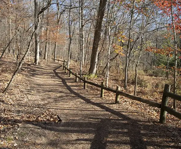 Radnor Lake State Park in Nashville, TN