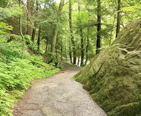 Rock Creek Park near Nashville