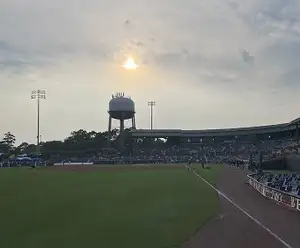 Myrtle Beach Pelicans Class-A Baseball Team