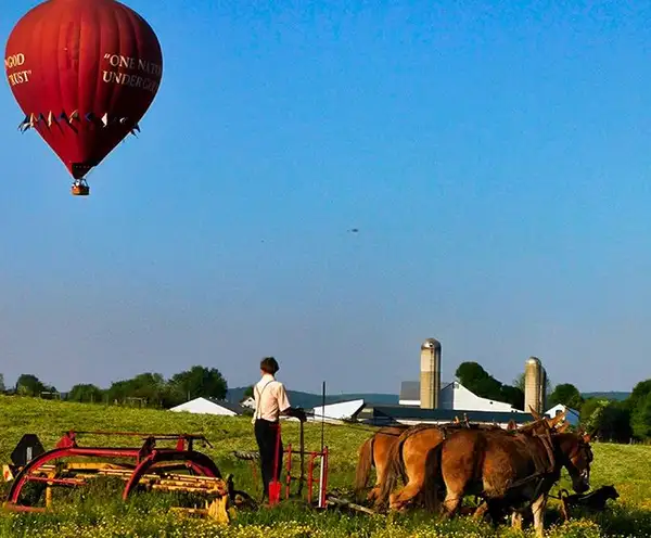 Balloon Flights Daily