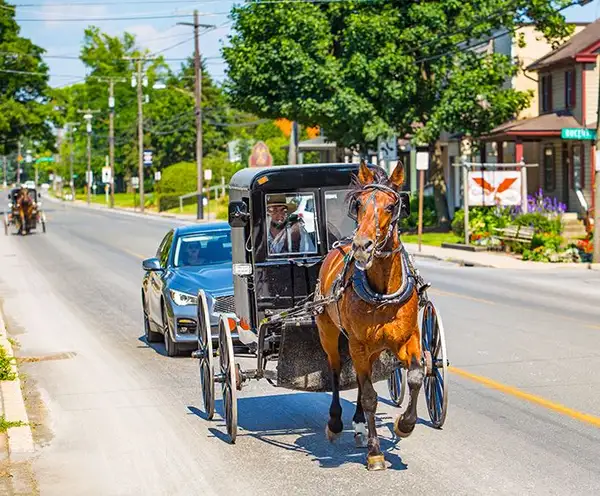 Gillingham Horse Drawn Carriage Company