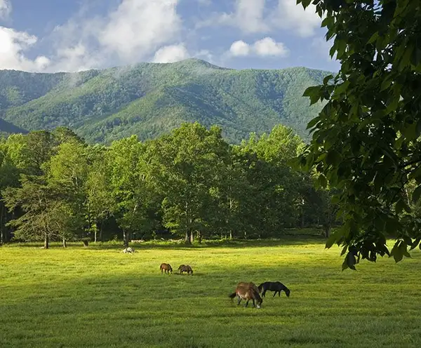 Sugarloaf Mountains