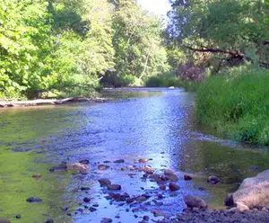 Stockstill Park