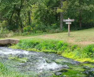 Fish Hatchery Outfall 6 in Branson, MO