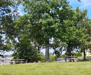 Old School Park in Branson, MO