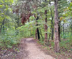 Table Rock State Park Chinquapin Trail