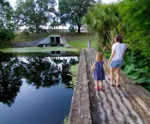 Greenwood Urban Wetlands in Orlando, FL