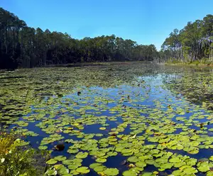 Lake Cherokee Park in Orlando, FL