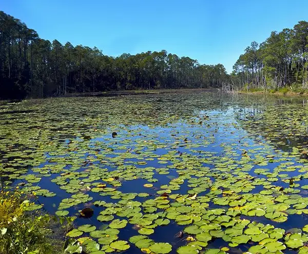 Lake Cherokee Park in Orlando, FL