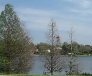 Lake Estelle Park in Orlando, FL