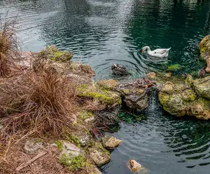 Lake Lorna Doone Park in Orlando, FL