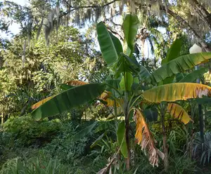 Lake Underhill Park in Orlando, FL