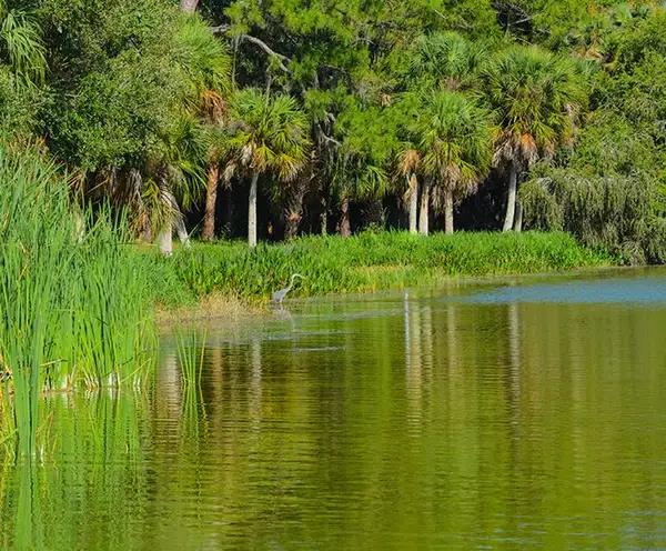 The Grove Park in Orlando, FL