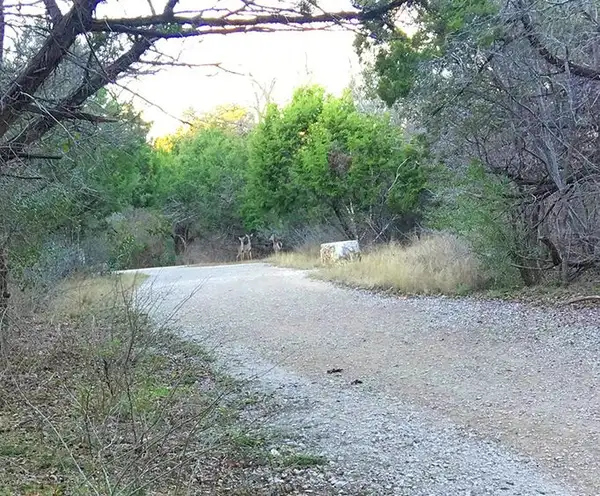 Culebra Creek Park