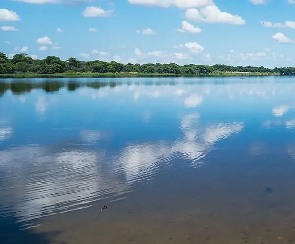 Lake Stella in Crescent City