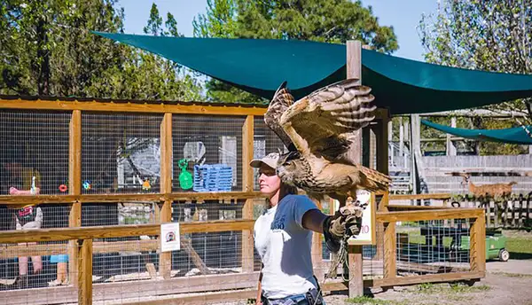 Alabama Gulf Coast Zoo