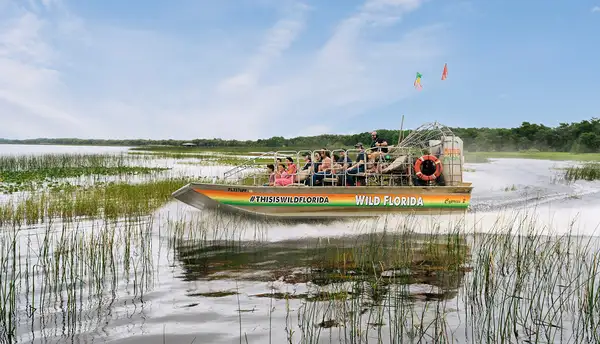 Wild Florida Safari Drive Thru Park