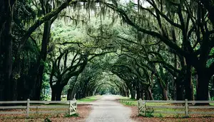 Hutchinson Island in Savannah, GA