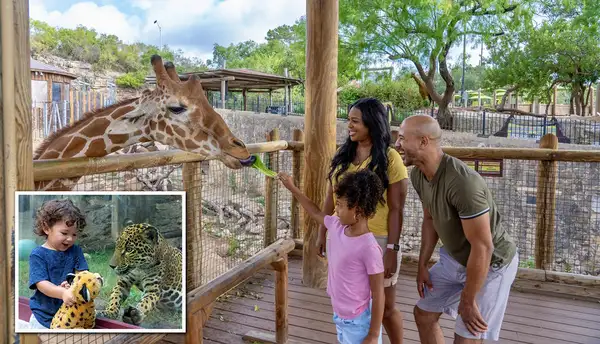 San Antonio Zoo